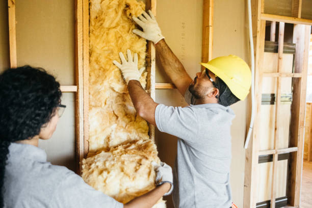 Best Insulation Contractors for Homes  in Burnet, TX