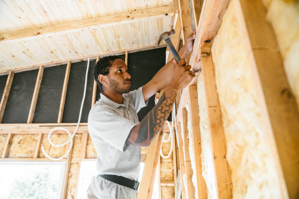Best Energy-efficient Insulation  in Burnet, TX