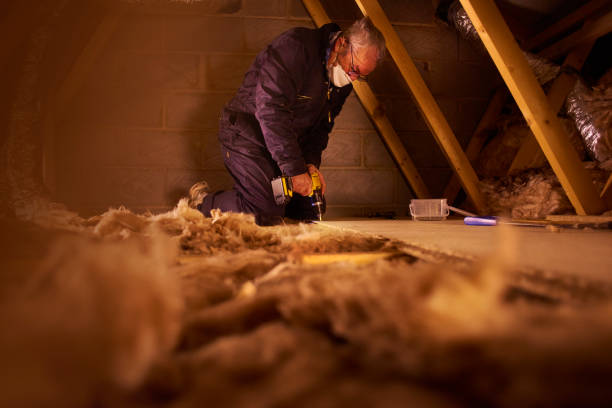 Best Best Insulation Companies  in Burnet, TX
